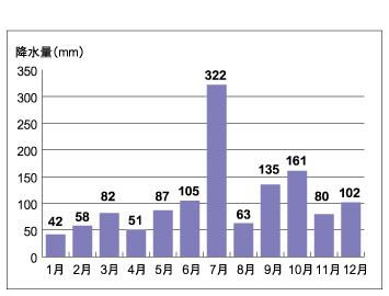 沼田　月別平均降水量（平成17年）