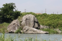 中州の岩（今回指定天然記念物に指定された岩）