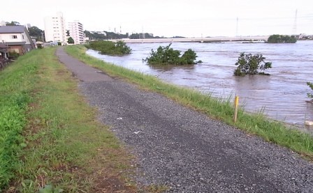 洪水の状況