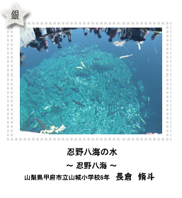 銀賞　忍野八海の水　―忍野八海―　山梨県甲府市立山城小学校6年　長倉　脩斗