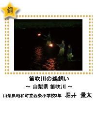 銅賞　笛吹川の鵜飼い　―山梨県 笛吹川―　山梨県昭和町立西条小学校3年　堀井　景太