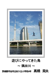 佳作　遊びにやってきた鳥　―隅田川―　茨城県守谷市立松ケ丘小学校4年　髙橋　周央