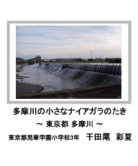 佳作　多摩川の小さなナイアガラのたき　―東京都 多摩川―　東京都晃華学園小学校3年　干田尾　彩夏