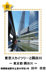 銅賞　東京スカイツリーと隅田川　―東京都 隅田川―　静岡県裾野市立東中学校1年　田中　伶奈