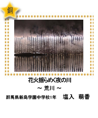 銅賞　花火揺らめく夜の川　―荒川―　群馬県新島学園中学校1年　塩入　萌香