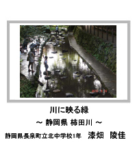 佳作　川に映る緑　―静岡県 柿田川―　静岡県長泉町立北中学校1年　漆畑　陵佳