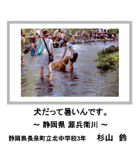 佳作　犬だって暑いんです。　―静岡県 源兵衛川―　静岡県長泉町立北中学校3年　杉山　鈴