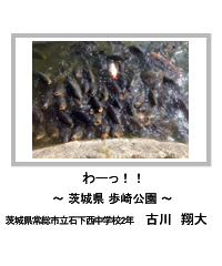 佳作　わーっ！！　―茨城県 歩崎公園―　茨城県常総市立石下西中学校2年　古川　翔大