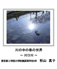 佳作　川の中の春の世界　―川口川―　東京都工学院大学附属高等学校2年　秋山　真子