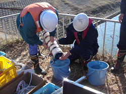 水質調査のための採水