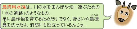 カモッシーの答え