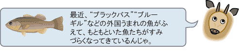 カモッシーの答え