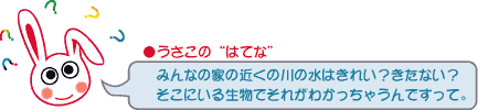 うさこのはてな