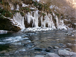 三十槌の氷柱