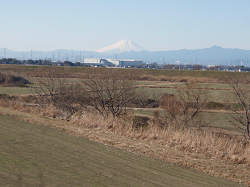 富士山