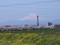 富士山