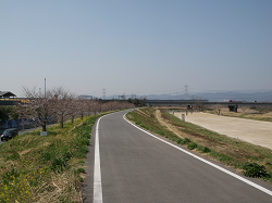 高麗川の桜堤