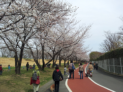 水上公園