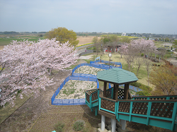 荒川パノラマ公園（展望台より）