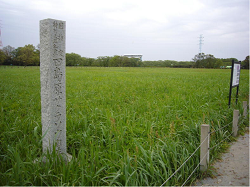 「田島ケ原サクラソウ自生地」