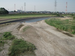 入間川川越橋下流瀬切れ