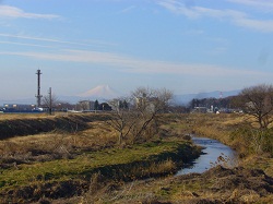 小畔川と富士山