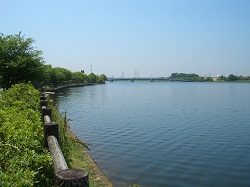 2010年6月の彩湖の様子