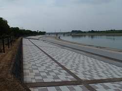 今年8月17日の彩湖の様子