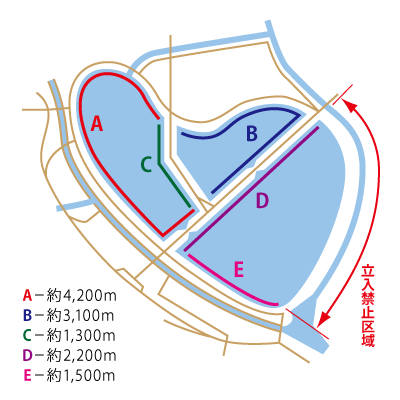 周囲距離