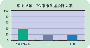 平成16年ヨシ原浄化施設除去率