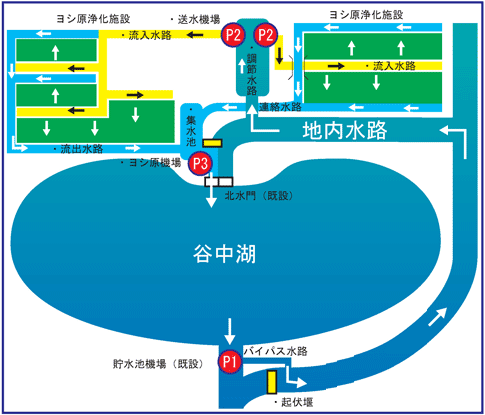 ヨシ原による浄化のメカニズム