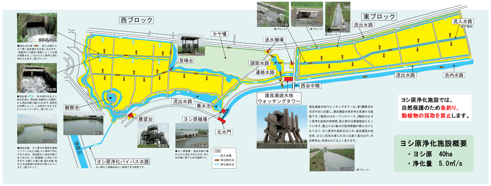 ヨシ原浄化施設概要