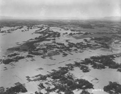 埼玉県東部の航空写真