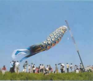 こいのぼり祭り(市民平和祭)：加須