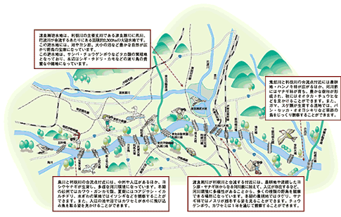 主要地点確認状況／利根川の利用と現況より