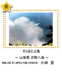 そらをとぶ魚　－山梨県 忍野八海－　神奈川県 茅ヶ崎市立今宿小学校2年　小林　翼