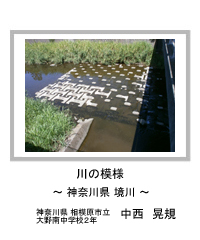 川の模様　－神奈川県 境川－　神奈川県 相模原市立大野南中学校2年　中西　晃規