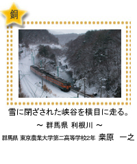 雪に閉ざされた峡谷を横目に走る。　～群馬県 利根川～　群馬県 東京農業大学第二高等学校2年　桒原　一之