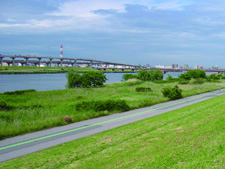 荒川下流自然地管理アダプト制度