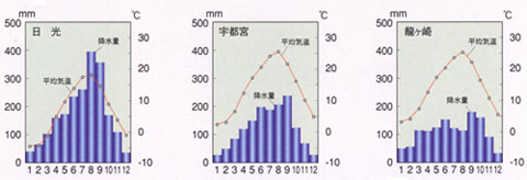 日光・宇都宮・龍ケ崎の平均気温と降水量のグラフ