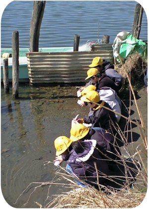 小文間小学校の皆さんのサケの稚魚放流の様子