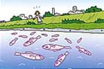 大量の魚が川で浮いたり死んでいるイラスト