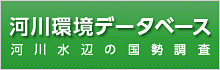 河川環境データベース