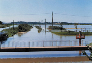 昭和57年9月 千葉県下総町