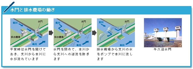 水門と排水機場の働き