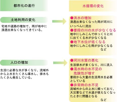 都市化の進行と水循環の変化