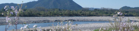 れき河原の風景