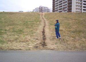 法面の裸地化の状態を確認