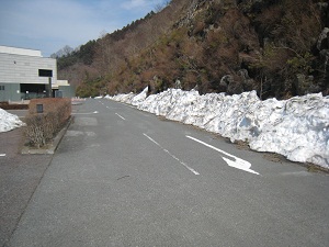ダム周辺の道路脇にも、雪が・・・