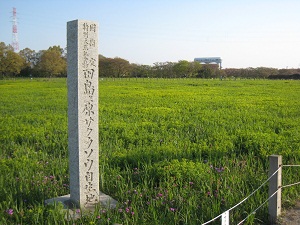 田島ヶ原サクラソウ自生地として国の特別天然記念物に指定されています